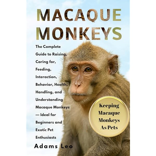 MACAQUE MONKEY PET OWNERS HANDBOOK: A COMPLETE GUIDE TO THEIR CARE